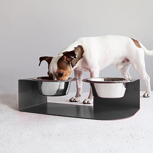 Infinity pet bowl stand